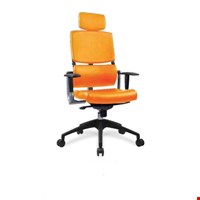 Kursi Direktur AOF MENCHES 7883 HR AAR NL