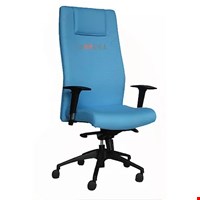 Jual Kursi Direktur Carrera M 3A Synchro Nylon