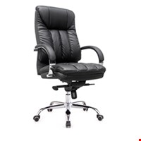 KURSI DIREKTUR DOROTHY TROFI