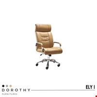 KURSI DIREKTUR DOROTHY ELY I