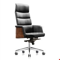 KURSI DIREKTUR DONATI - STAZIO I