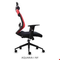 KURSI DIREKTUR INVITI - AQUARIA I NY