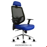 KURSI DIREKTUR INVITI - ANDROMEDA I AL MT