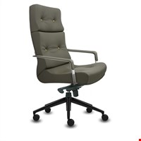 KURSI DIREKTUR INVITI - EXECUTOR I NY