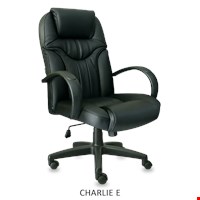 KURSI DIREKTUR INVITI - CHARLIE E