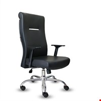 KURSI DIREKTUR INVITI - VLA ECO I CR