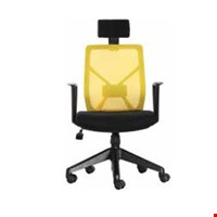 KURSI DIREKTUR CHAIRMAN ECOS - SBM 9901 H