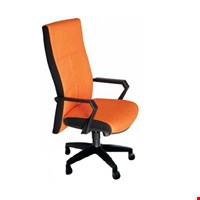 KURSI DIREKTUR CHAIRMAN ECOS - SBF 7901