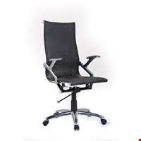 Kursi Direktur Fantoni Albano L