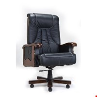 Kursi Direktur Fantoni Padova