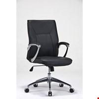 Kursi Direktur Fantoni Calvinia