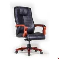 Kursi Direktur Fantoni Aquarius L