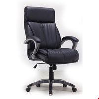 Kursi Direktur Fantoni Pisces