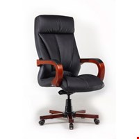 Kursi Direktur Fantoni Alesio L