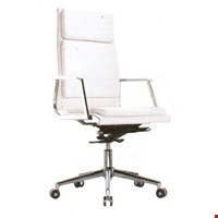 Kursi Direktur Fantoni Amadeo