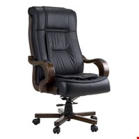 Kursi Direktur Fantoni Darwin