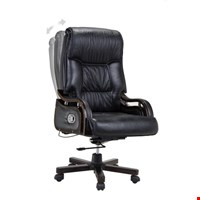 Kursi Direktur Fantoni Houston