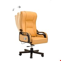 Kursi Direktur Fantoni Hampton