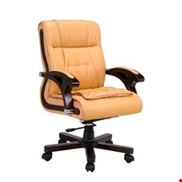 Kursi Direktur Fantoni Kiev