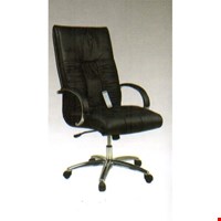 Kursi Direktur Fantoni Auckland