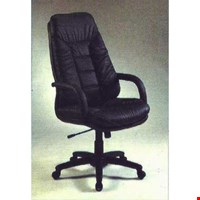 Kursi Direktur Fantoni Pluto