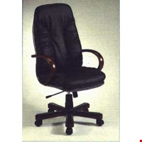 Kursi Direktur Fantoni Mars L