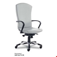 Jual Kursi Kantor Stramm Manchester  GAR Cpt T5 CB