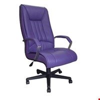 Kursi Direktur BABY-KU BED 2222