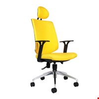 Kursi Direktur Chairman TS 02301 A